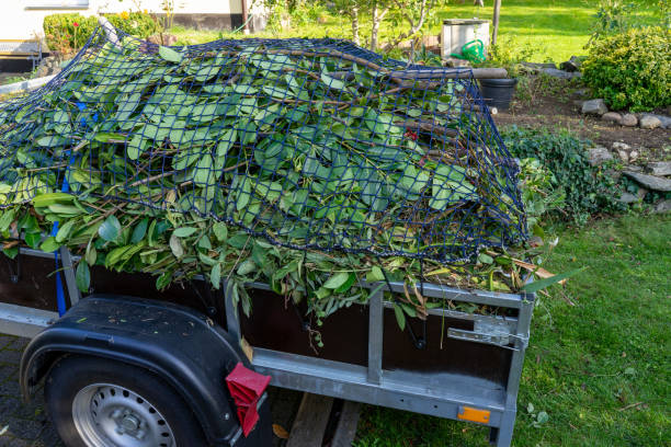 Best Yard Waste Removal  in Sanford, CO